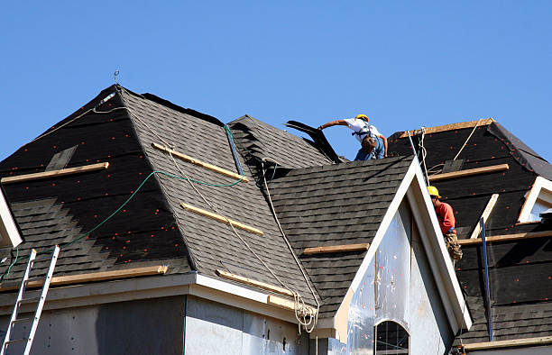 Best Metal Roofing Contractor  in Ceredo, WV