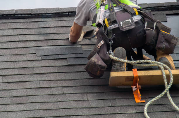 Best Storm Damage Roof Repair  in Ceredo, WV