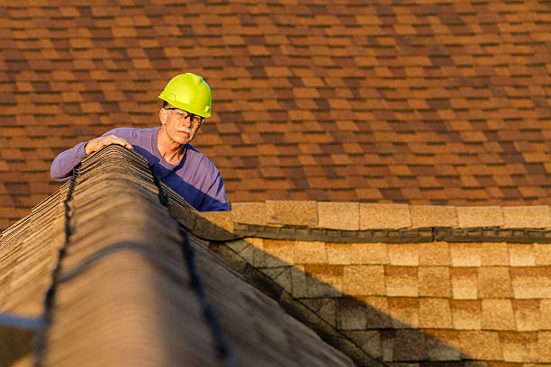 Best Roof Maintenance Services  in Ceredo, WV