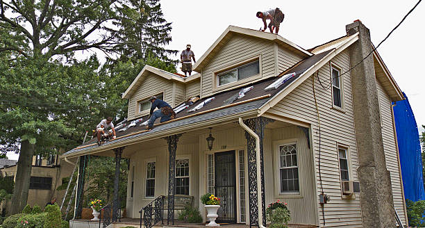 Best Shingle Roofing Installation  in Ceredo, WV